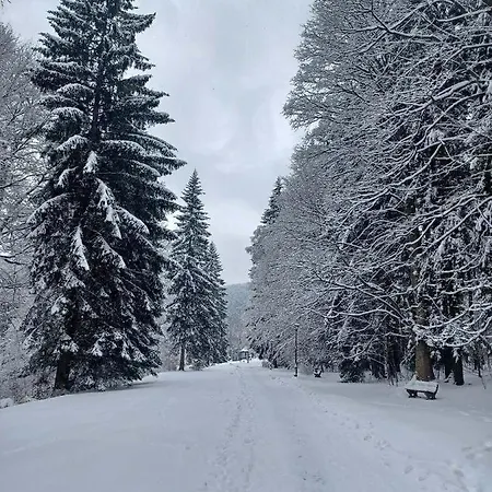 アパート U Vleku